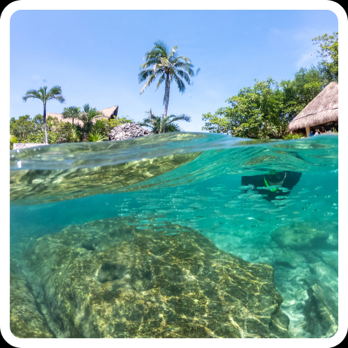 Xcaret
